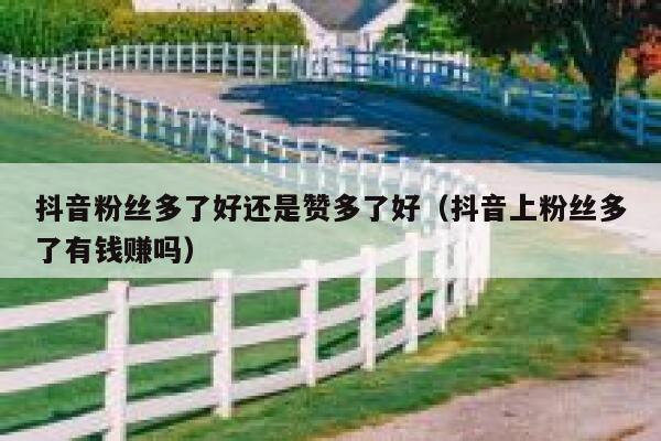抖音粉丝多了好还是赞多了好（抖音上粉丝多了有钱赚吗） 第1张