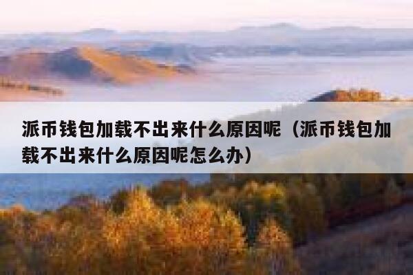 派币钱包加载不出来什么原因呢（派币钱包加载不出来什么原因呢怎么办） 第1张