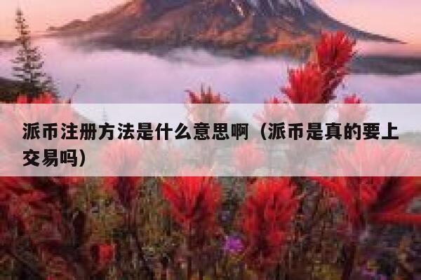 派币注册方法是什么意思啊（派币是真的要上交易吗） 第1张