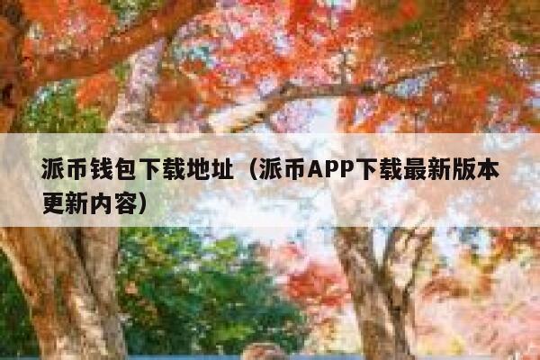 派币钱包下载地址（派币APP下载最新版本更新内容） 第1张