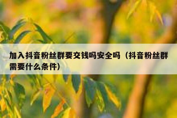 加入抖音粉丝群要交钱吗安全吗(抖音粉丝群需要什么条件) 第1张 加入抖音粉丝群要交钱吗安全吗(抖音粉丝群需要什么条件) 第1张