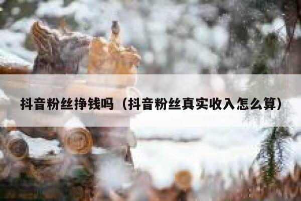 抖音粉丝挣钱吗（抖音粉丝真实收入怎么算） 第1张