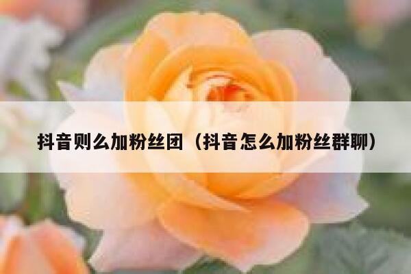 抖音则么加粉丝团（抖音怎么加粉丝群聊） 第1张
