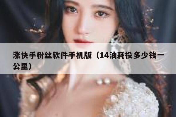 涨快手粉丝软件手机版（14油耗投多少钱一公里） 第1张