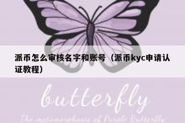 派币怎么审核名字和账号(派币kyc申请认证教程) 第1张 派币怎么审核名字和账号(派币kyc申请认证教程) 第1张
