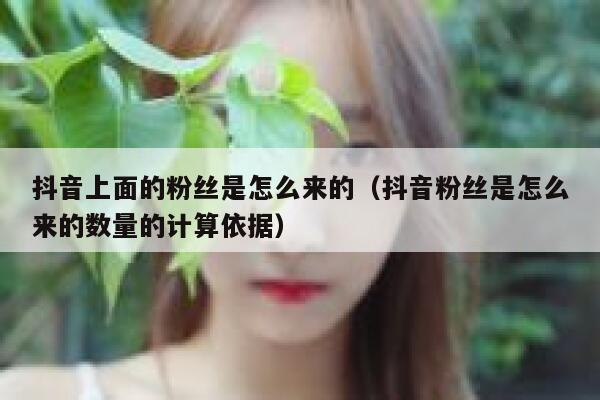 抖音上面的粉丝是怎么来的(抖音粉丝是怎么来的数量的计算依据) 第1张 抖音上面的粉丝是怎么来的(抖音粉丝是怎么来的数量的计算依据) 第1张