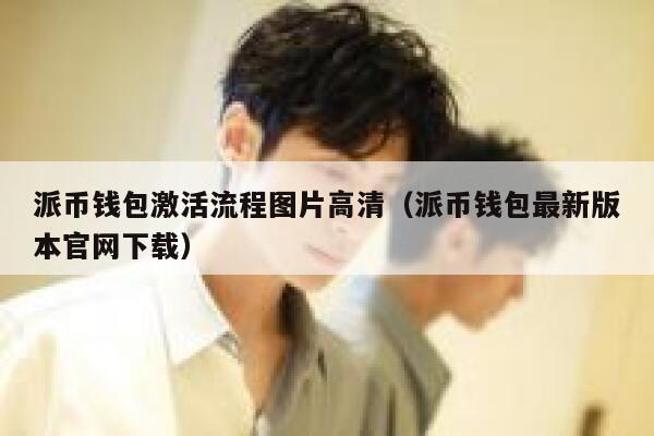 派币钱包激活流程图片高清(派币钱包最新版本官网下载) 第1张 派币钱包激活流程图片高清(派币钱包最新版本官网下载) 第1张