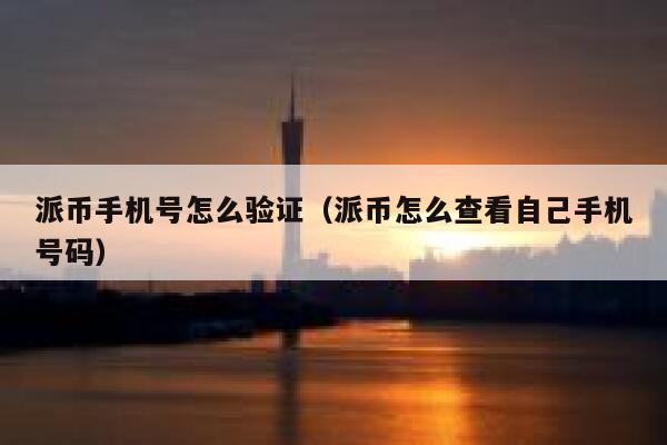派币手机号怎么验证（派币怎么查看自己手机号码） 第1张