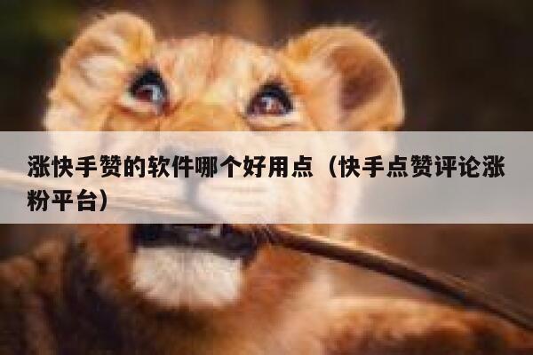 涨快手赞的软件哪个好用点(快手点赞评论涨粉平台) 第1张 涨快手赞的软件哪个好用点(快手点赞评论涨粉平台) 第1张