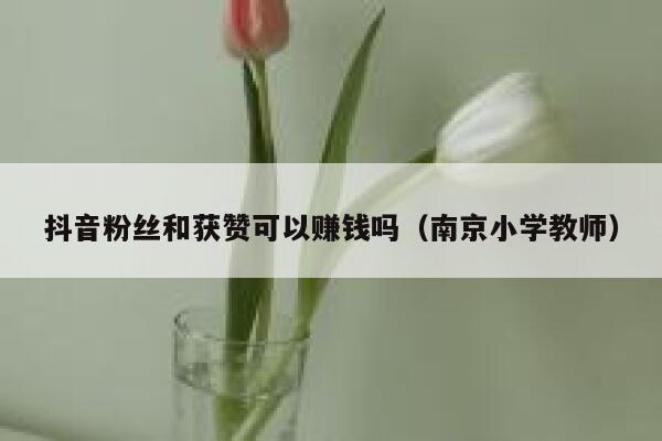抖音粉丝和获赞可以赚钱吗(南京小学教师) 第1张 抖音粉丝和获赞可以赚钱吗(南京小学教师) 第1张