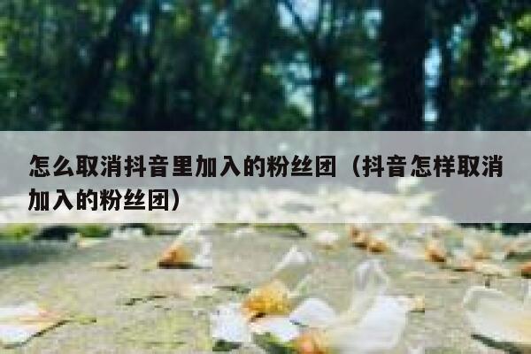 怎么取消抖音里加入的粉丝团(抖音怎样取消加入的粉丝团) 第1张 怎么取消抖音里加入的粉丝团(抖音怎样取消加入的粉丝团) 第1张