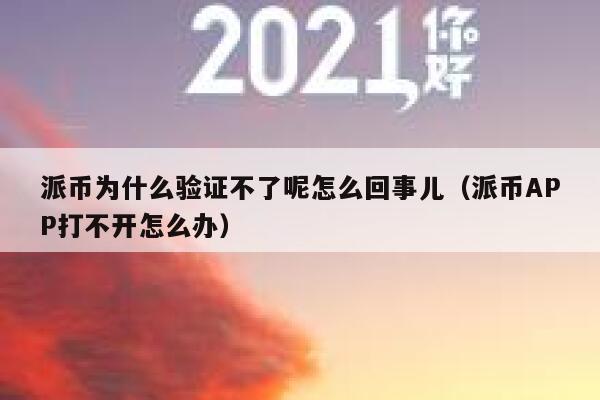 派币为什么验证不了呢怎么回事儿（派币APP打不开怎么办） 第1张