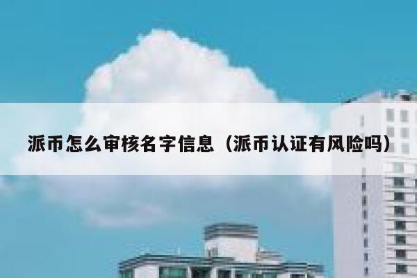 派币怎么审核名字信息(派币认证有风险吗) 第1张 派币怎么审核名字信息(派币认证有风险吗) 第1张