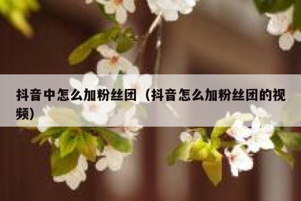 抖音中怎么加粉丝团（抖音怎么加粉丝团的视频） 第1张