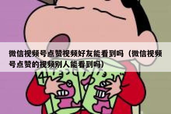微信视频号点赞视频好友能看到吗（微信视频号点赞的视频别人能看到吗） 第1张