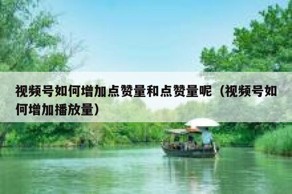 视频号如何增加点赞量和点赞量呢(视频号如何增加播放量) 第1张 视频号如何增加点赞量和点赞量呢(视频号如何增加播放量) 第1张