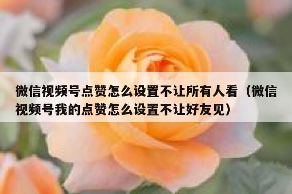 微信视频号点赞怎么设置不让所有人看(微信视频号我的点赞怎么设置不让好友见) 第1张 微信视频号点赞怎么设置不让所有人看(微信视频号我的点赞怎么设置不让好友见) 第1张