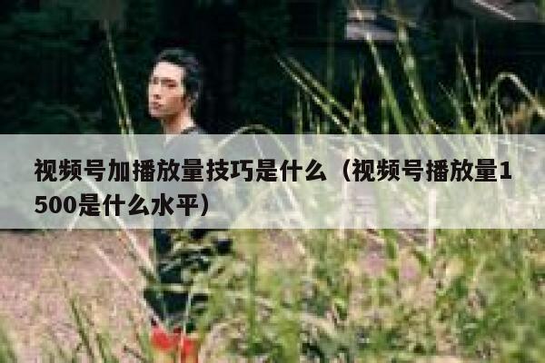 视频号加播放量技巧是什么(视频号播放量1500是什么水平) 第1张 视频号加播放量技巧是什么(视频号播放量1500是什么水平) 第1张
