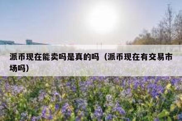 派币现在能卖吗是真的吗(派币现在有交易市场吗) 第1张 派币现在能卖吗是真的吗(派币现在有交易市场吗) 第1张