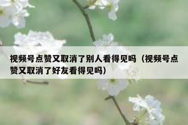 视频号点赞又取消了别人看得见吗(视频号点赞又取消了好友看得见吗) 第1张 视频号点赞又取消了别人看得见吗(视频号点赞又取消了好友看得见吗) 第1张