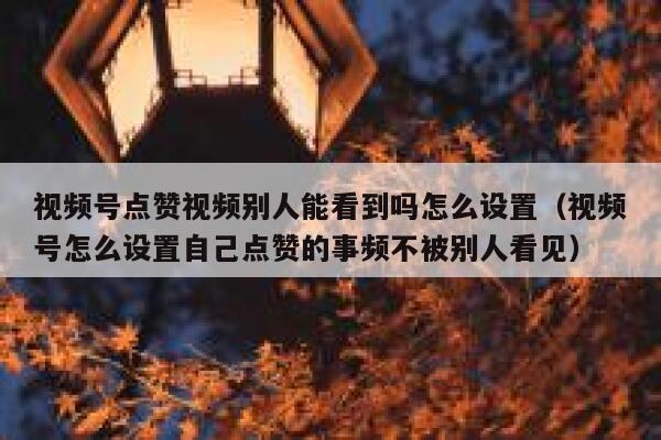 视频号点赞视频别人能看到吗怎么设置(视频号怎么设置自己点赞的事频不被别人看见) 第1张 视频号点赞视频别人能看到吗怎么设置(视频号怎么设置自己点赞的事频不被别人看见) 第1张