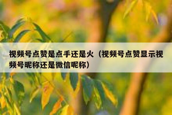 视频号点赞是点手还是火（视频号点赞显示视频号昵称还是微信呢称） 第1张