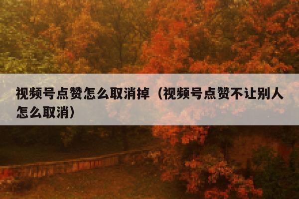 视频号点赞怎么取消掉(视频号点赞不让别人怎么取消) 第1张 视频号点赞怎么取消掉(视频号点赞不让别人怎么取消) 第1张