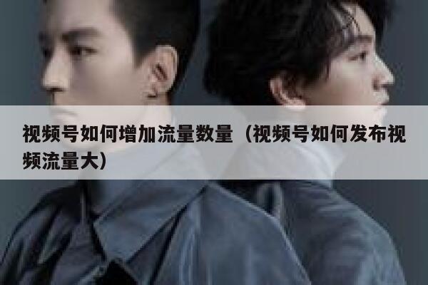 视频号如何增加流量数量(视频号如何发布视频流量大) 第1张 视频号如何增加流量数量(视频号如何发布视频流量大) 第1张
