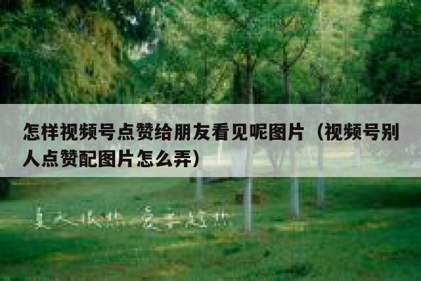 怎样视频号点赞给朋友看见呢图片(视频号别人点赞配图片怎么弄) 第1张 怎样视频号点赞给朋友看见呢图片(视频号别人点赞配图片怎么弄) 第1张