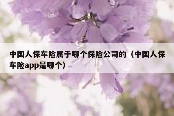 中国人保车险属于哪个保险公司的（中国人保车险app是哪个） 第1张