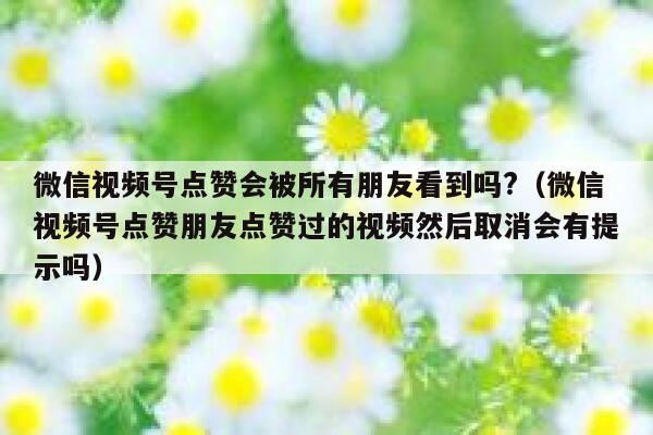 微信视频号点赞会被所有朋友看到吗?（微信视频号点赞朋友点赞过的视频然后取消会有提示吗） 第1张