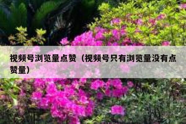 视频号浏览量点赞（视频号只有浏览量没有点赞量） 第1张