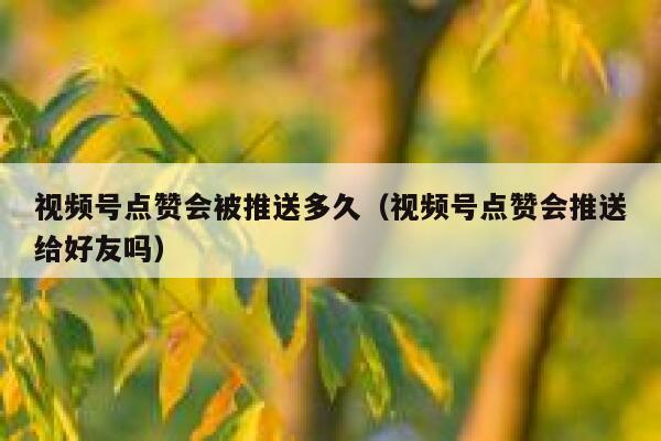 视频号点赞会被推送多久（视频号点赞会推送给好友吗） 第1张