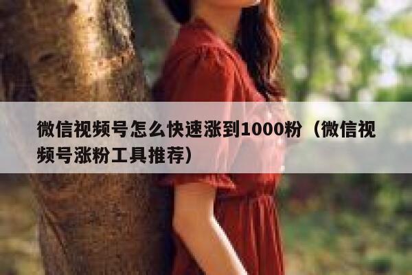 微信视频号怎么快速涨到1000粉(微信视频号涨粉工具推荐) 第1张 微信视频号怎么快速涨到1000粉(微信视频号涨粉工具推荐) 第1张