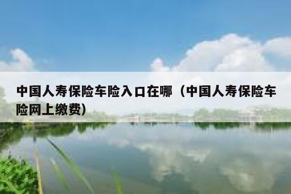 中国人寿保险车险入口在哪（中国人寿保险车险网上缴费） 第1张