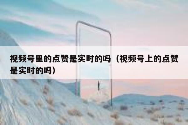 视频号里的点赞是实时的吗(视频号上的点赞是实时的吗) 第1张 视频号里的点赞是实时的吗(视频号上的点赞是实时的吗) 第1张