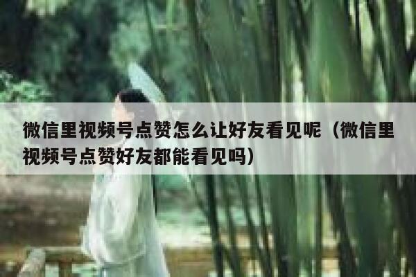 微信里视频号点赞怎么让好友看见呢(微信里视频号点赞好友都能看见吗) 第1张 微信里视频号点赞怎么让好友看见呢(微信里视频号点赞好友都能看见吗) 第1张