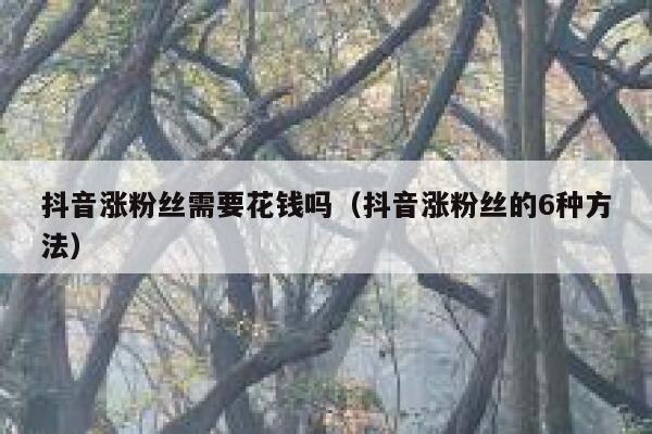 抖音涨粉丝需要花钱吗（抖音涨粉丝的6种方法） 第1张