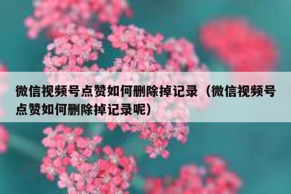 微信视频号点赞如何删除掉记录（微信视频号点赞如何删除掉记录呢） 第1张