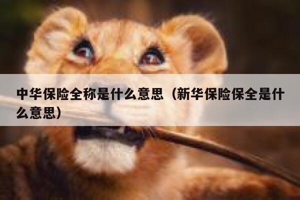中华保险全称是什么意思（新华保险保全是什么意思） 第1张