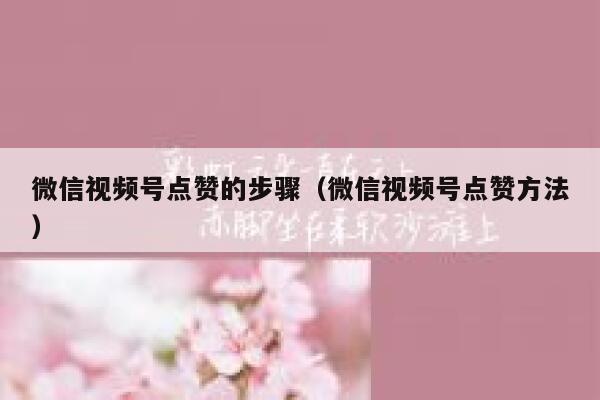 微信视频号点赞的步骤（微信视频号点赞方法） 第1张