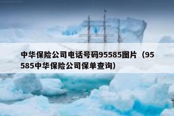 中华保险公司电话号码95585图片（95585中华保险公司保单查询） 第1张