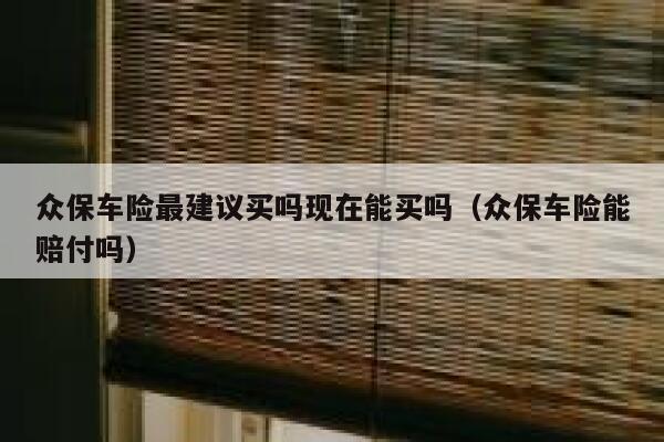 众保车险最建议买吗现在能买吗（众保车险能赔付吗） 第1张