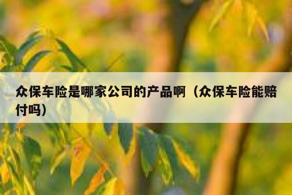 众保车险是哪家公司的产品啊(众保车险能赔付吗) 第1张 众保车险是哪家公司的产品啊(众保车险能赔付吗) 第1张