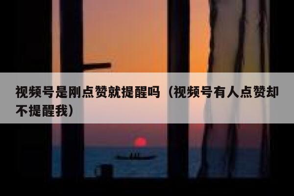 视频号是刚点赞就提醒吗（视频号有人点赞却不提醒我） 第1张