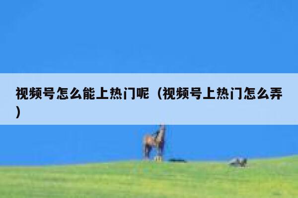 视频号怎么能上热门呢（视频号上热门怎么弄） 第1张