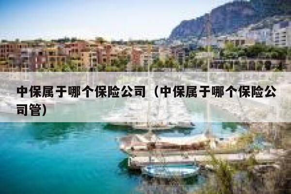 中保属于哪个保险公司(中保属于哪个保险公司管) 第1张 中保属于哪个保险公司(中保属于哪个保险公司管) 第1张