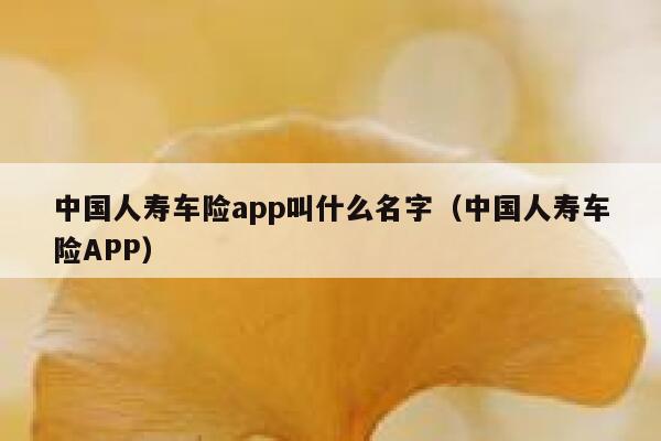 中国人寿车险app叫什么名字(中国人寿车险APP) 第1张 中国人寿车险app叫什么名字(中国人寿车险APP) 第1张