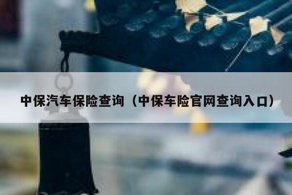 中保汽车保险查询（中保车险官网查询入口） 第1张