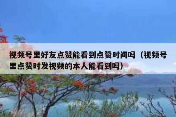 视频号里好友点赞能看到点赞时间吗(视频号里点赞时发视频的本人能看到吗) 第1张 视频号里好友点赞能看到点赞时间吗(视频号里点赞时发视频的本人能看到吗) 第1张
